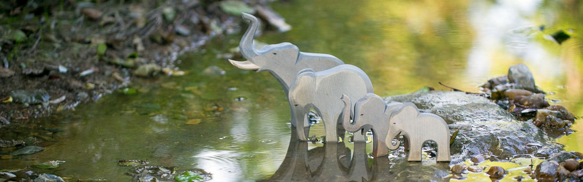 Tiere aus aller Welt