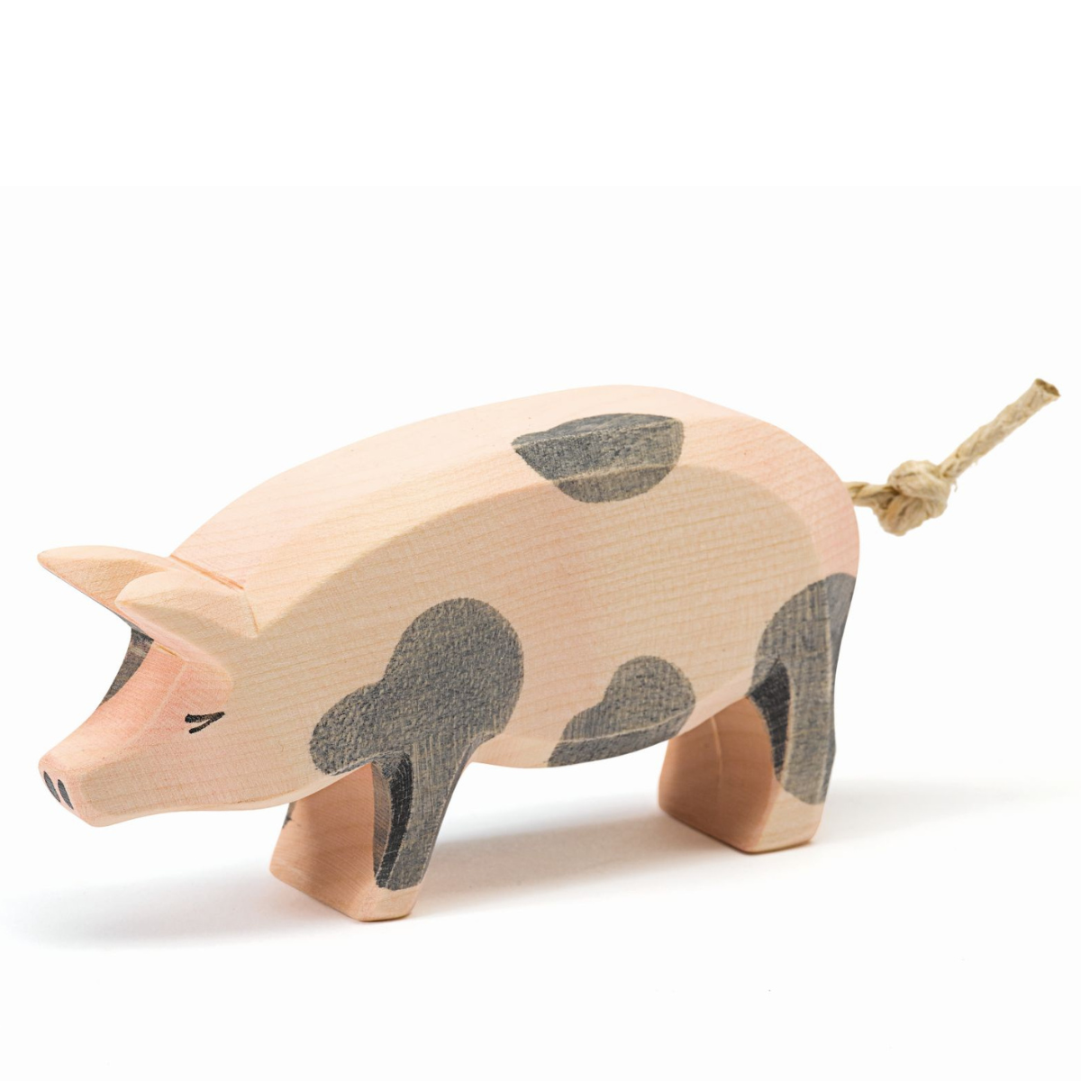 Schwein gefleckt Kopf hoch