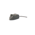Maus