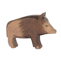 Wild Boar Sow