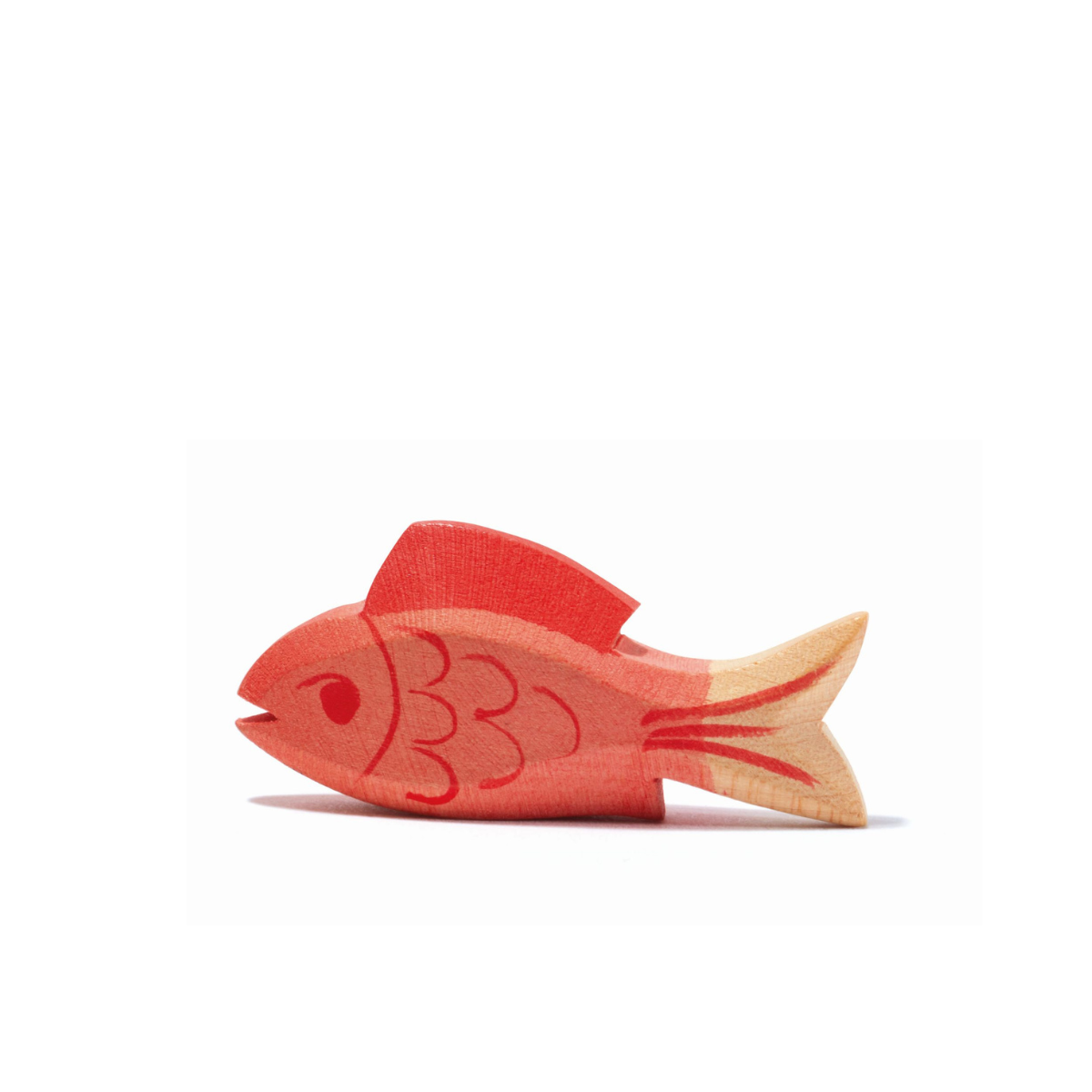 Fisch rot