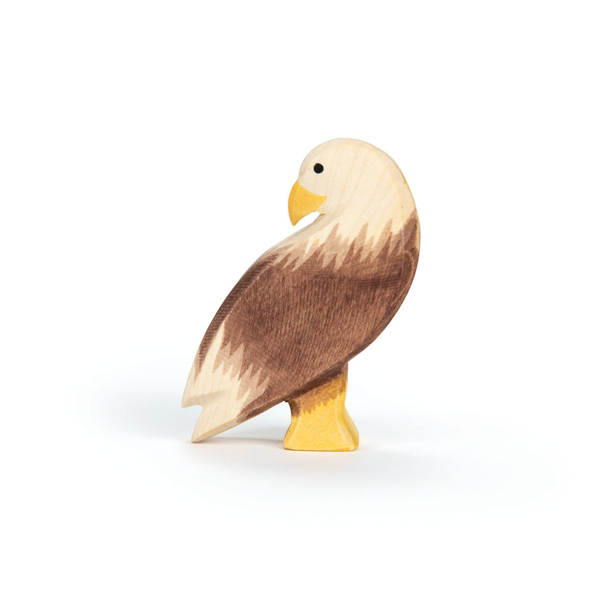 Bald Eagle standing