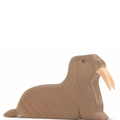 Walrus