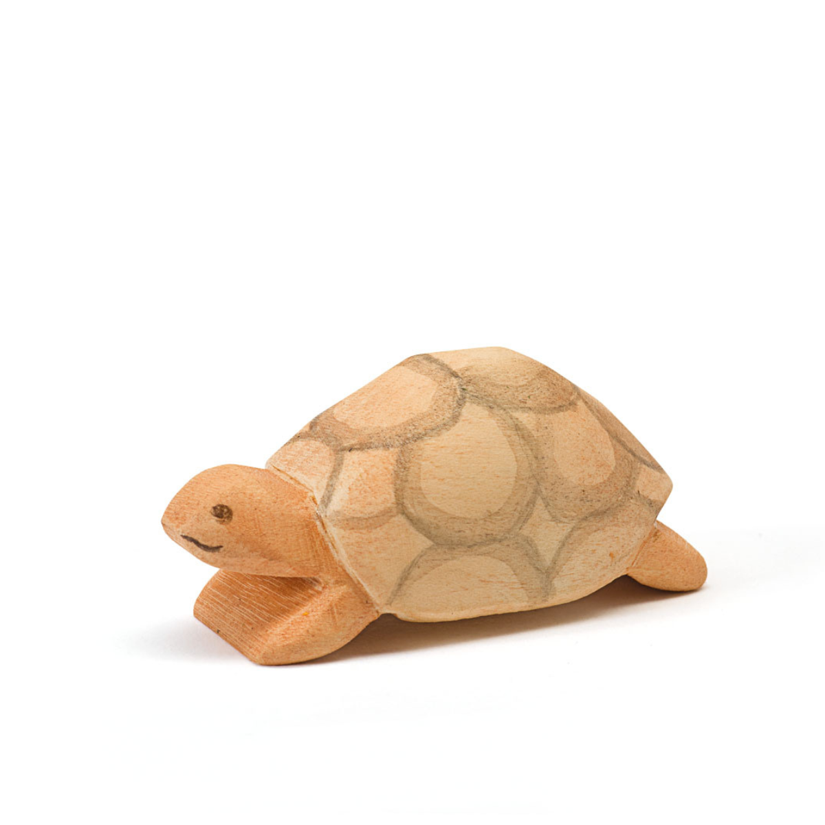 Schildkröte