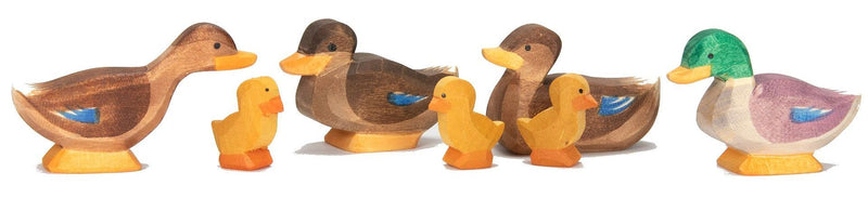 Ostheimer Enten