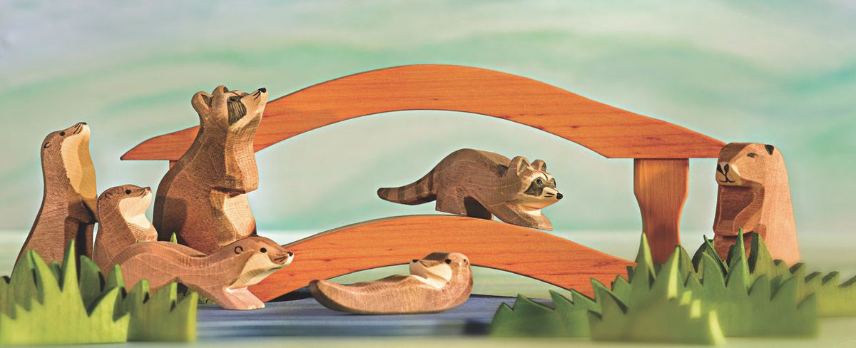 Waschbär sitzend