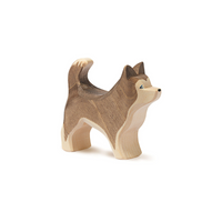 Sled Dog standing