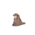 Seeotter klein